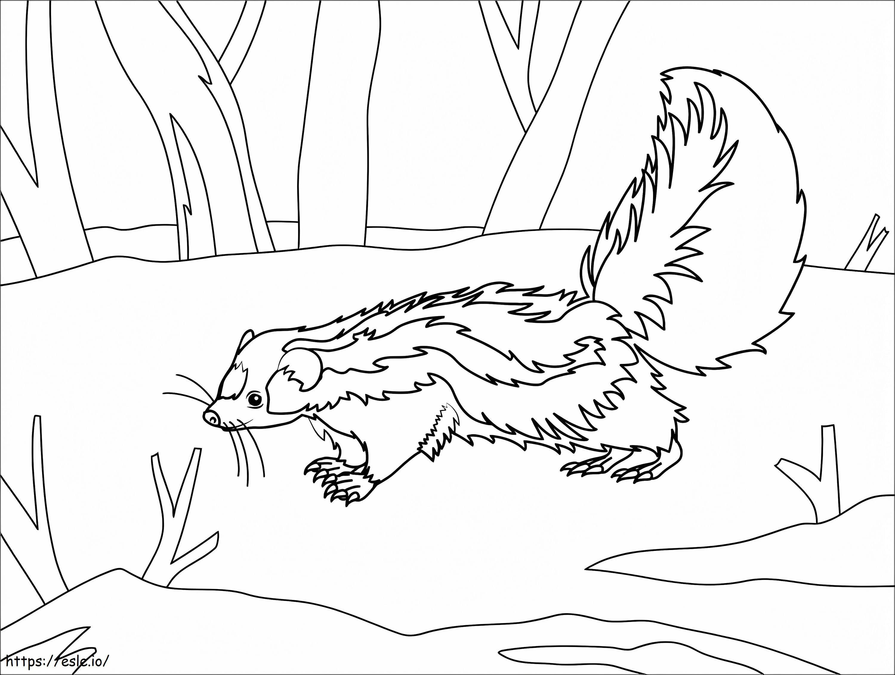 Skunk in the forest coloring page