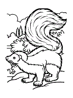 Skunks coloring pages