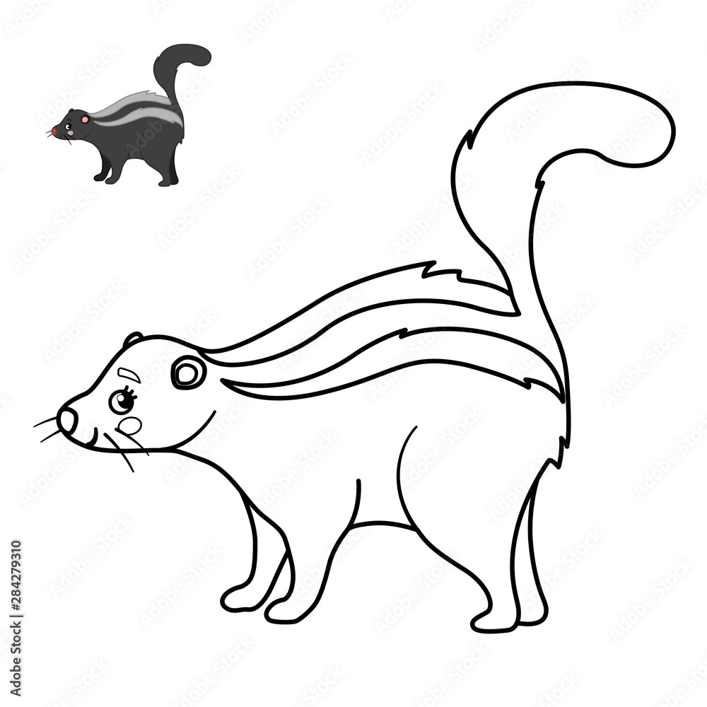 Coloring book for children forest animals cartoon cute skunk vector