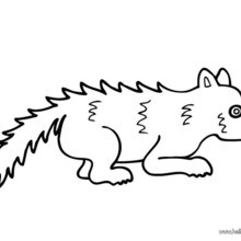 Skunk coloring pages