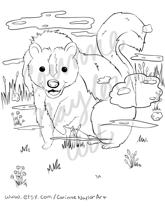 Forest friends coloring page skunk