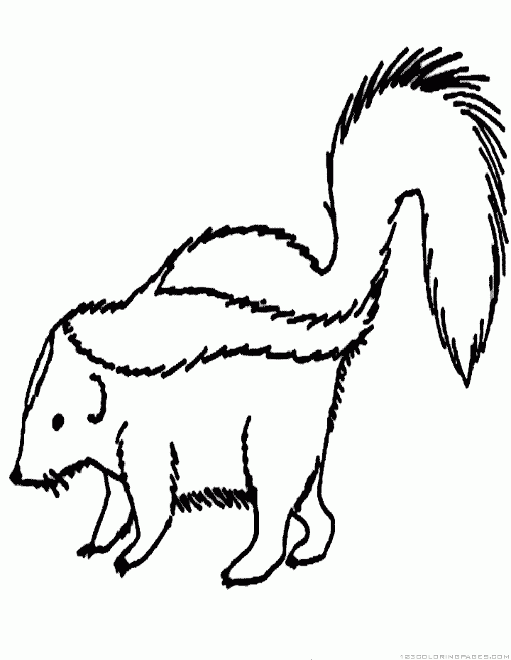 Skunk coloring pages