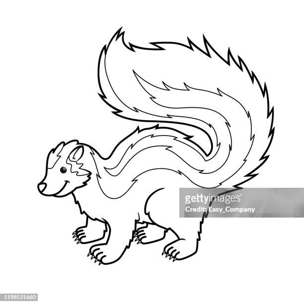 Skunk drawing stock photos high