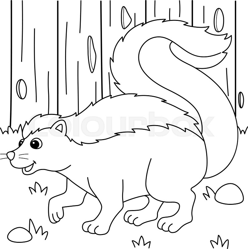 Skunk animal coloring page for kids stock vector