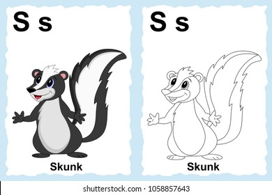 Skunk drawing images stock photos d objects vectors