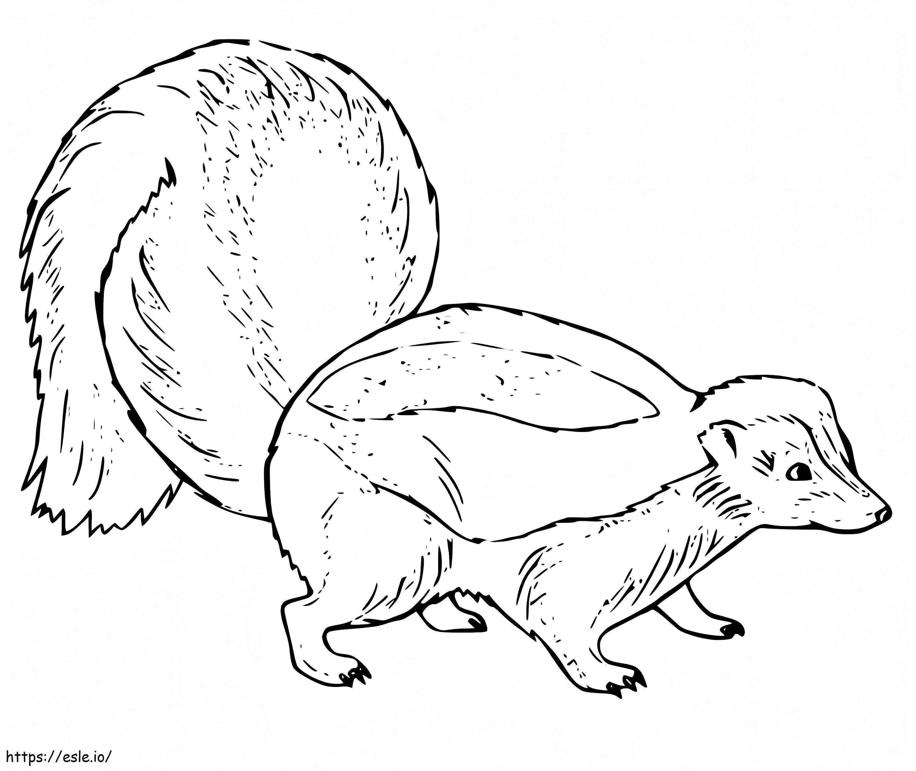 Simple skunk coloring page