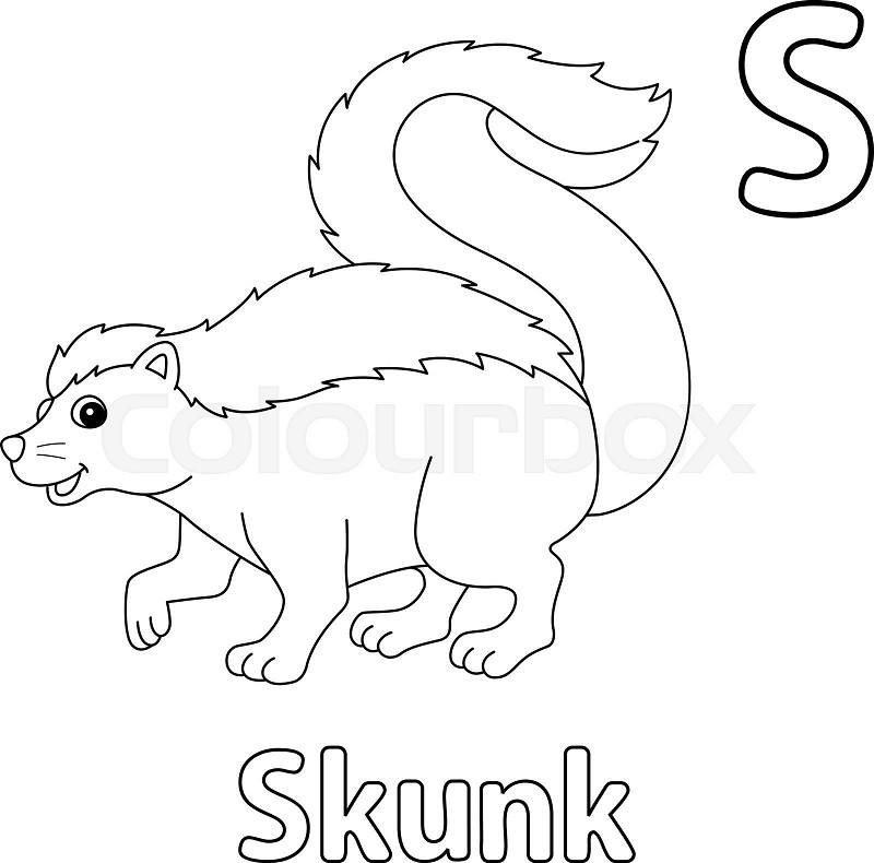 Skunk animal alphabet abc isolated coloring page s stock vector