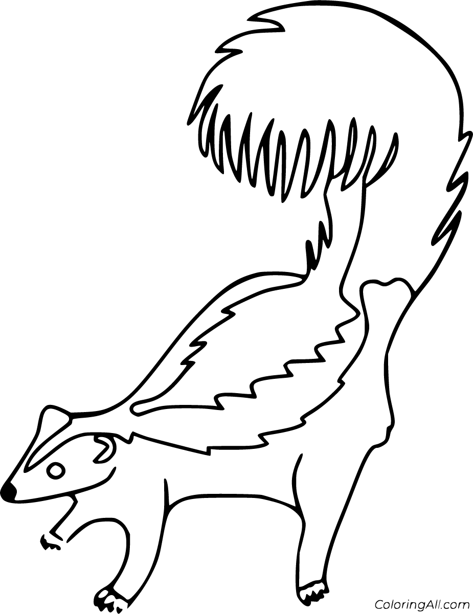 Free printable skunk coloring pages in vector format easy to print from any device and automatically fit any papâ animal coloring pages coloring pages skunk