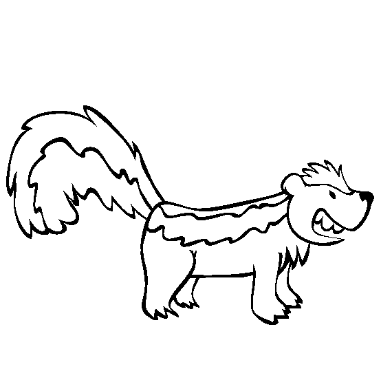 Skunk coloring page