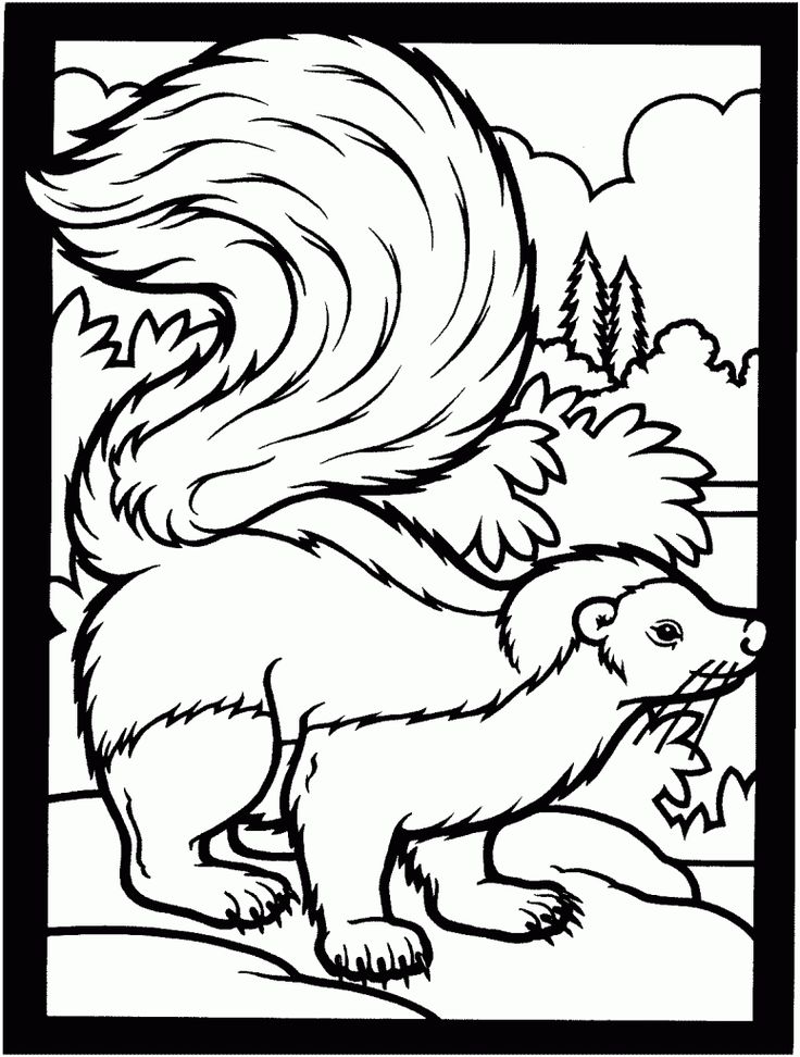 Free printable skunk coloring pages for kids animal coloring pages coloring pages to print coloring pages for kids