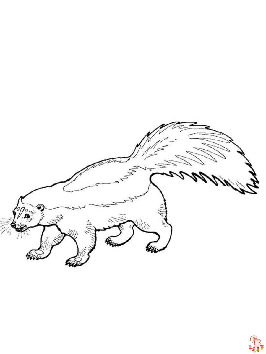 Printable skunk coloring pages free for kids and adults