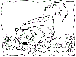 Skunks coloring pages