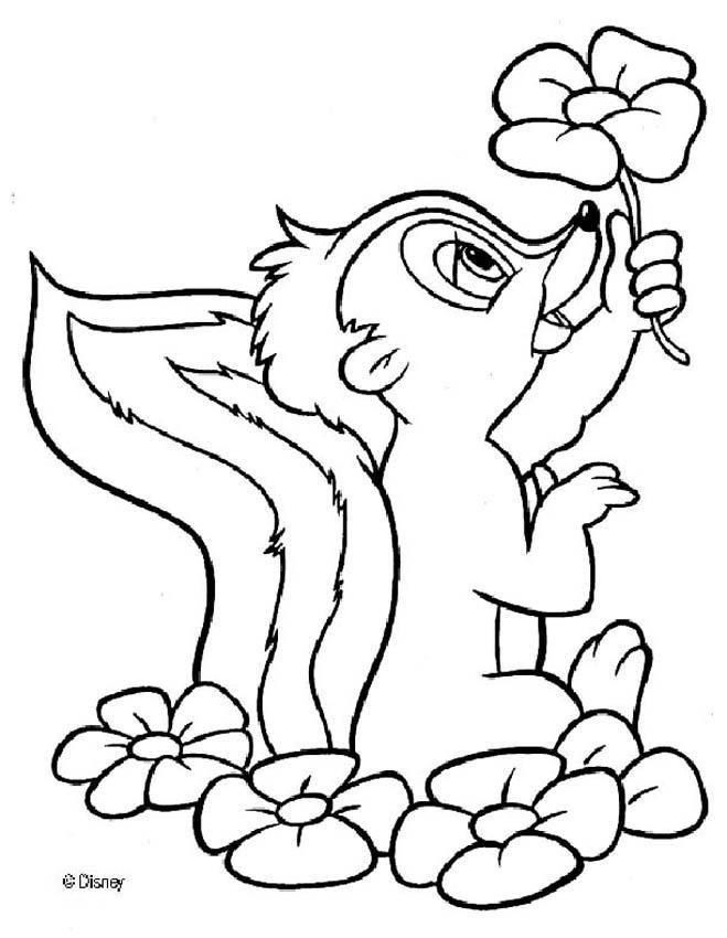 Skunk coloring pages ideas coloring pages animal coloring pages skunk