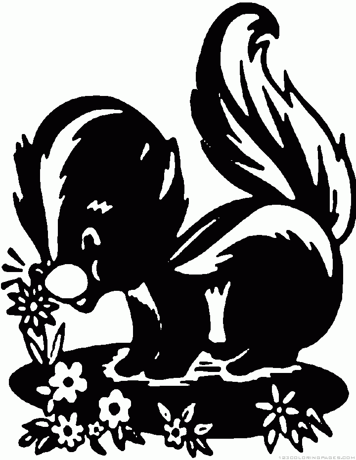 Skunk coloring pages