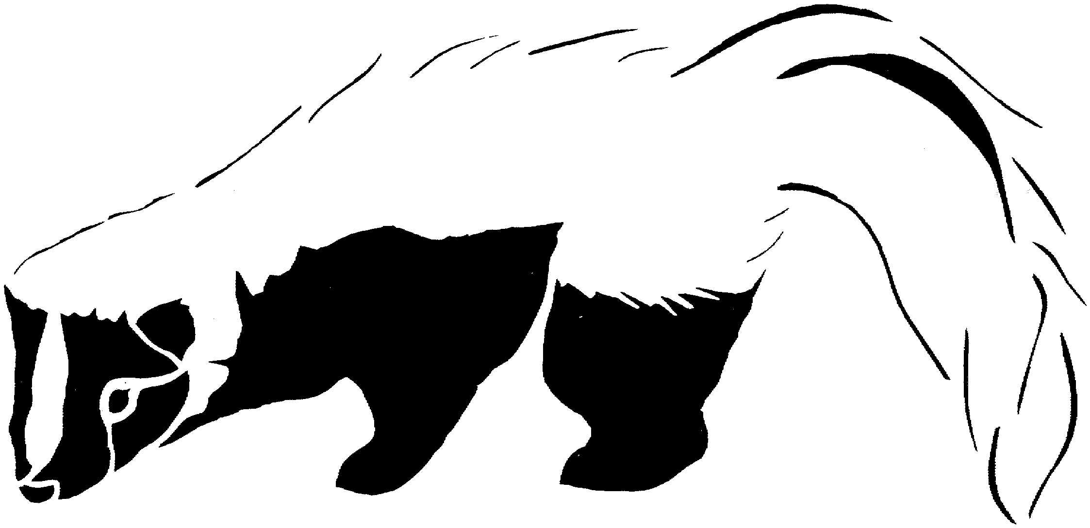 Free skunk coloring pages