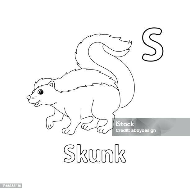 Skunk animal alphabet abc isolated coloring page s stock illustration