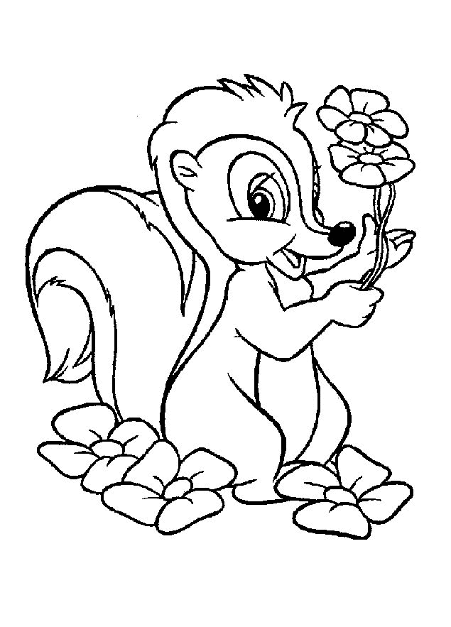 Coloring pages skunk animals â printable coloring pages