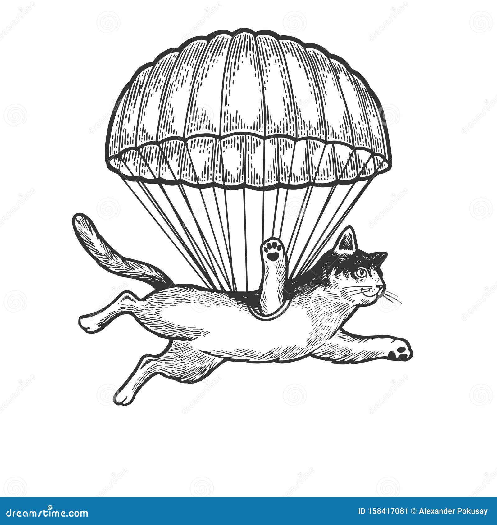 Funny paratrooper stock illustrations â funny paratrooper stock illustrations vectors clipart