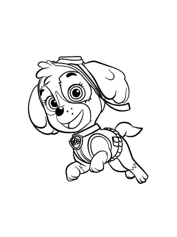 Skye paw patrol image coloring page