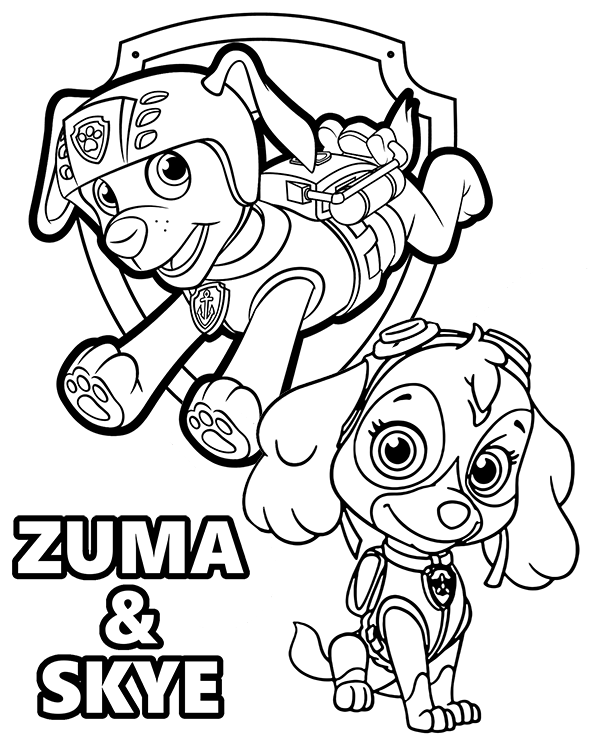 Zuma and skye from paw patrol on printable coloring page