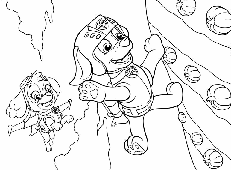 Cute paw patrol skye coloring pages free