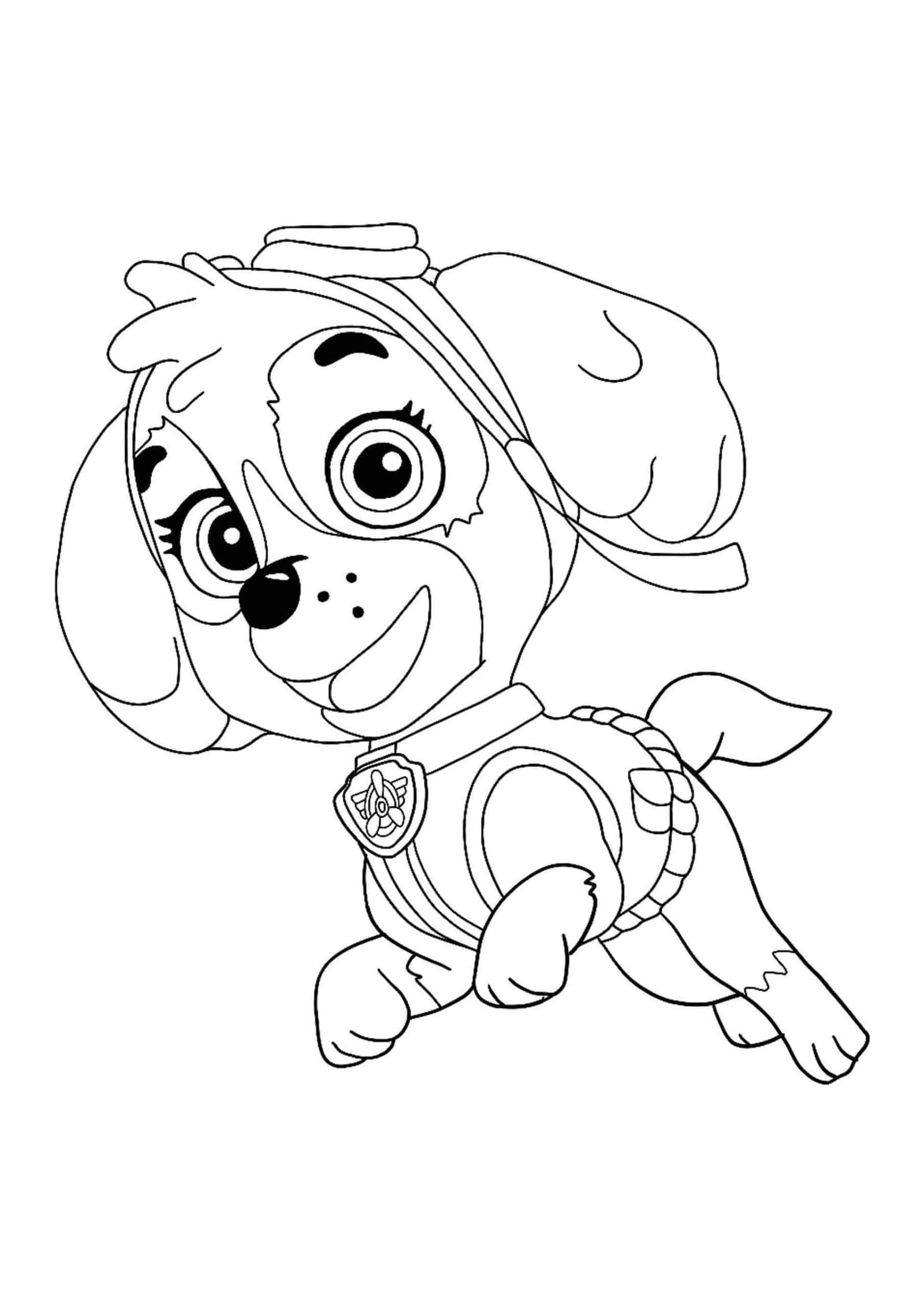 Paw patrol skye coloring pages