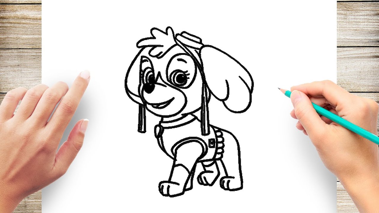 How to draw skye fro paw patrol step by step