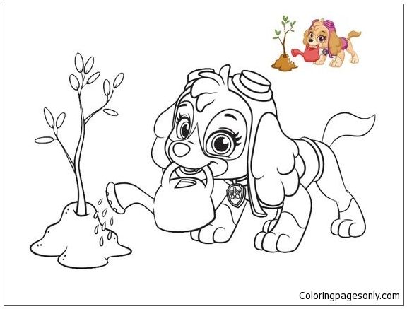 Skye from paw patrol coloring page