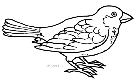 Animals coloring page