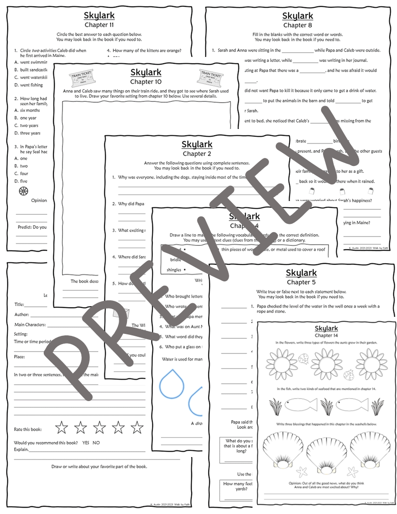 Skylark novel study made by teachers