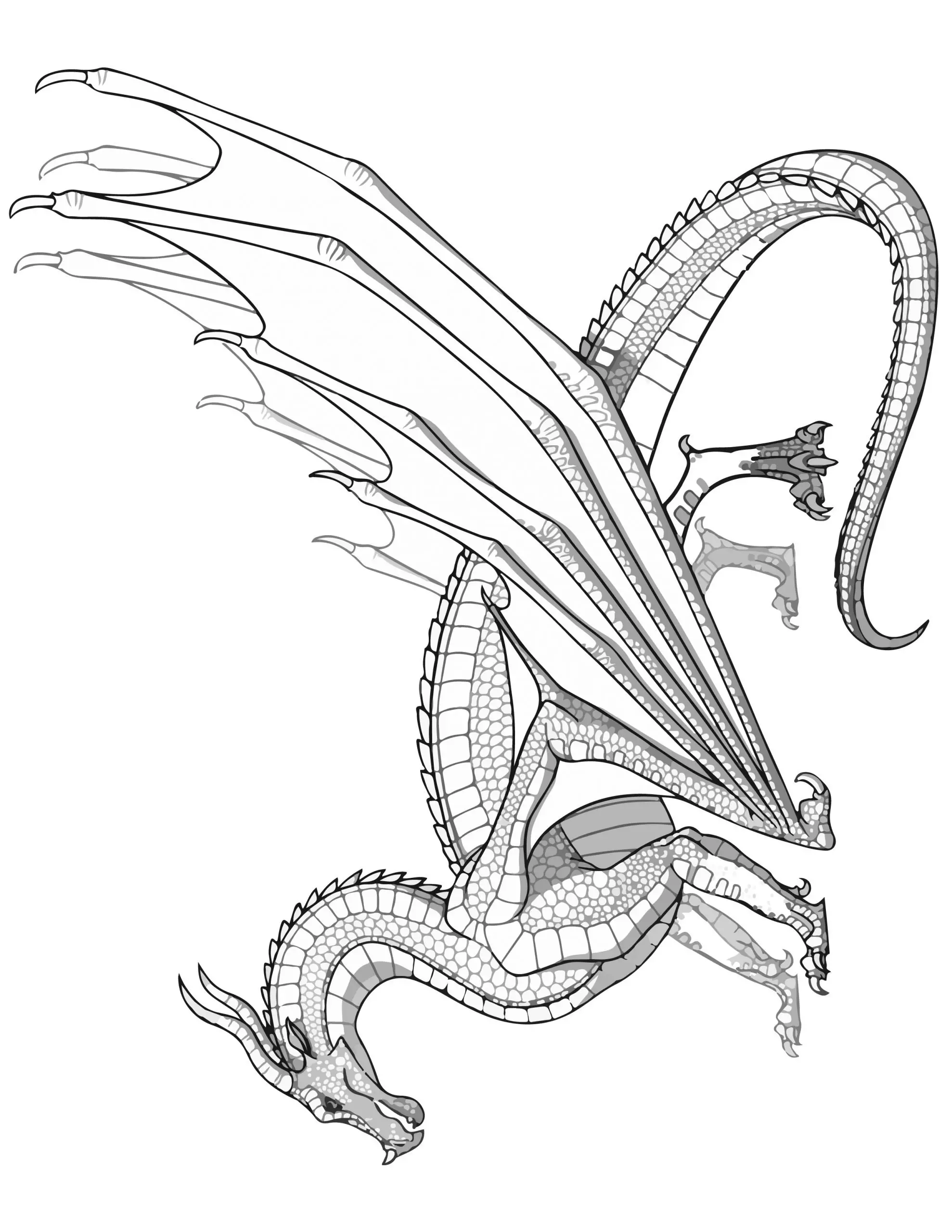 Wings of fire dragon coloring pages