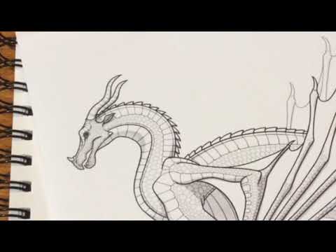 Wings of fire skywing drawing part