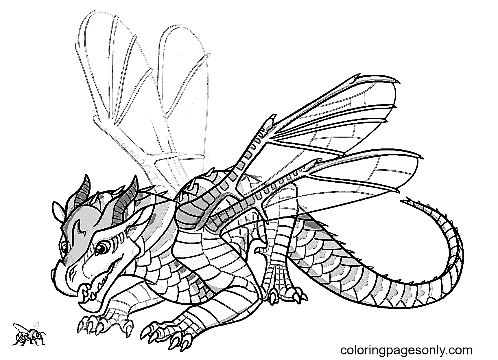 Baby skywing dragon coloring page