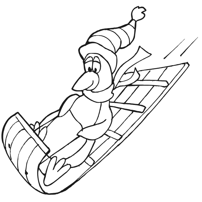 Penguin coloring page sledding penguin