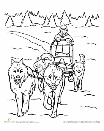 Dog sled worksheet education dog coloring page dog sledding iditarod