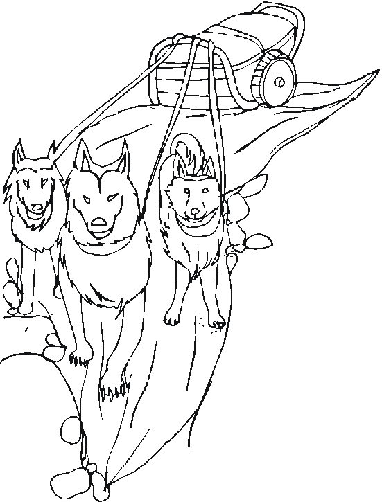 Free coloring pages