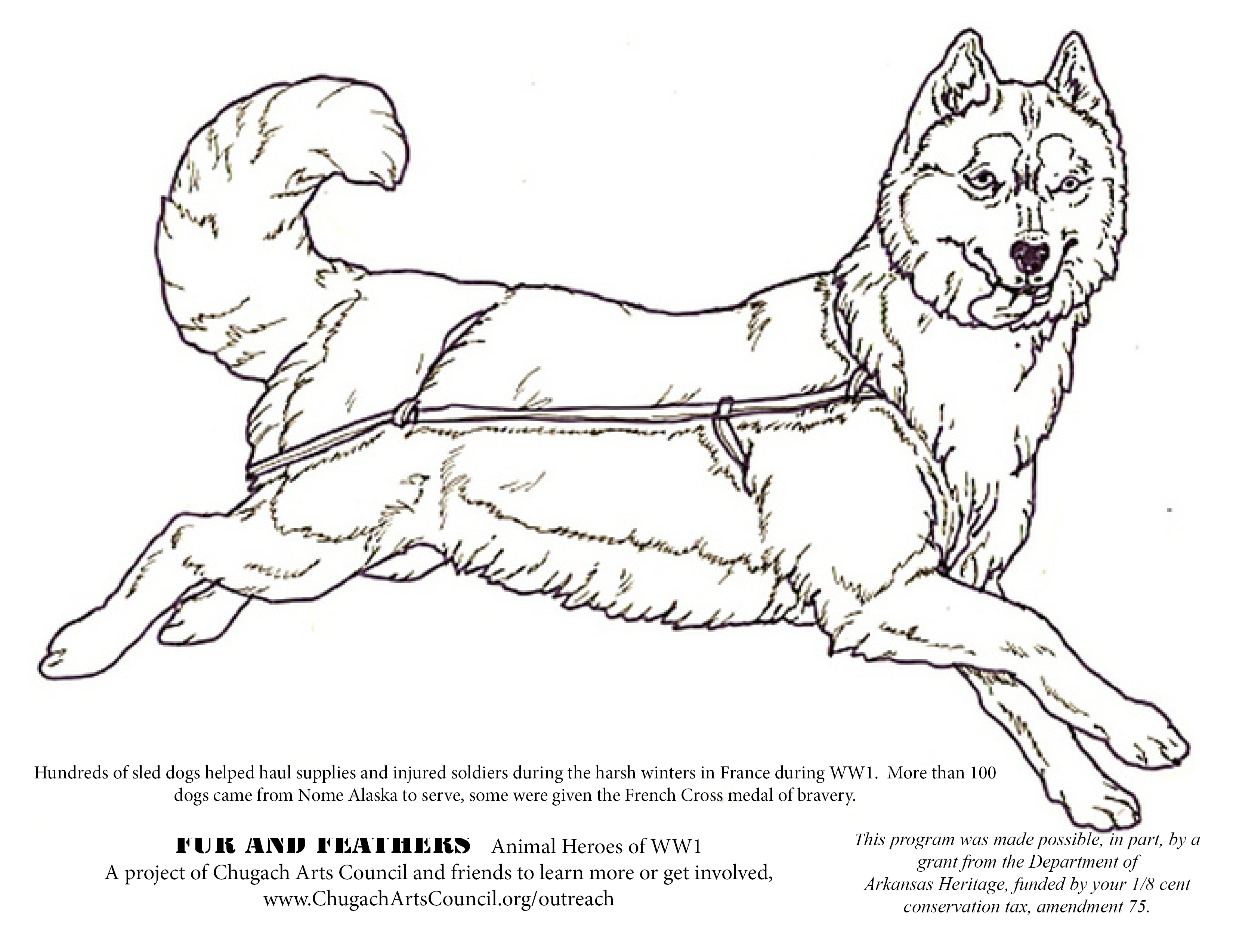 Coloring pages fur and feathers â chugach arts council