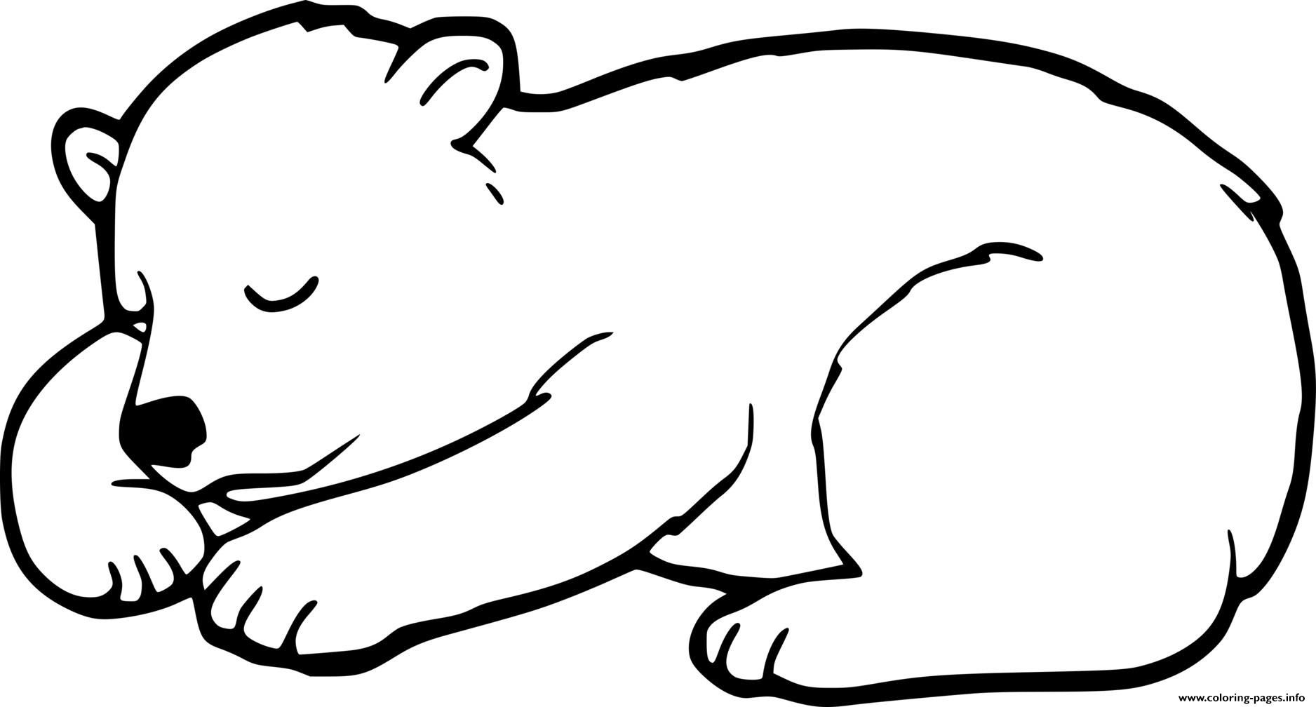 Print hibernate baby bear coloring pages bear coloring pages hibernating bear craft polar bear color