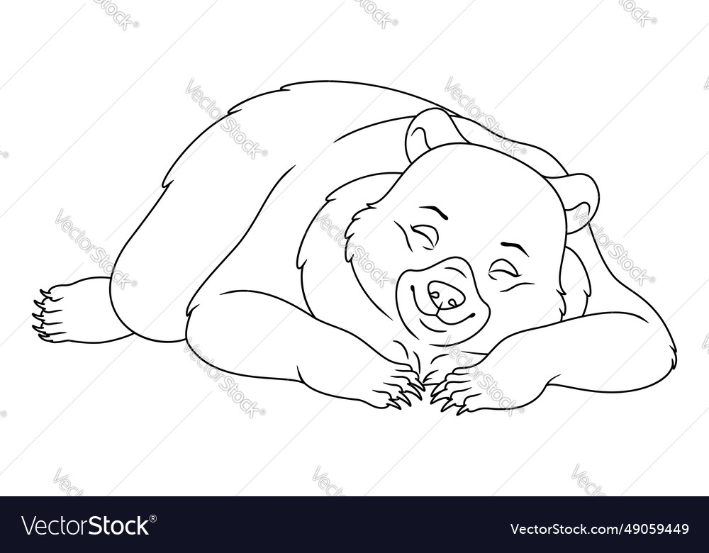 Sleeping bear coloring page cartoon royalty free vector