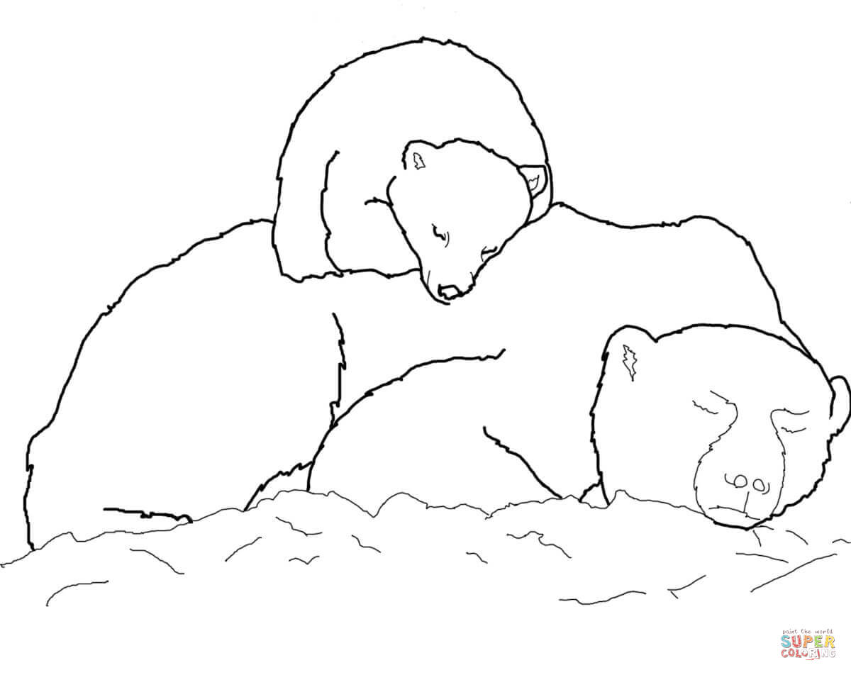 Polar bear cub sleeping on mothers back coloring page free printable coloring pages