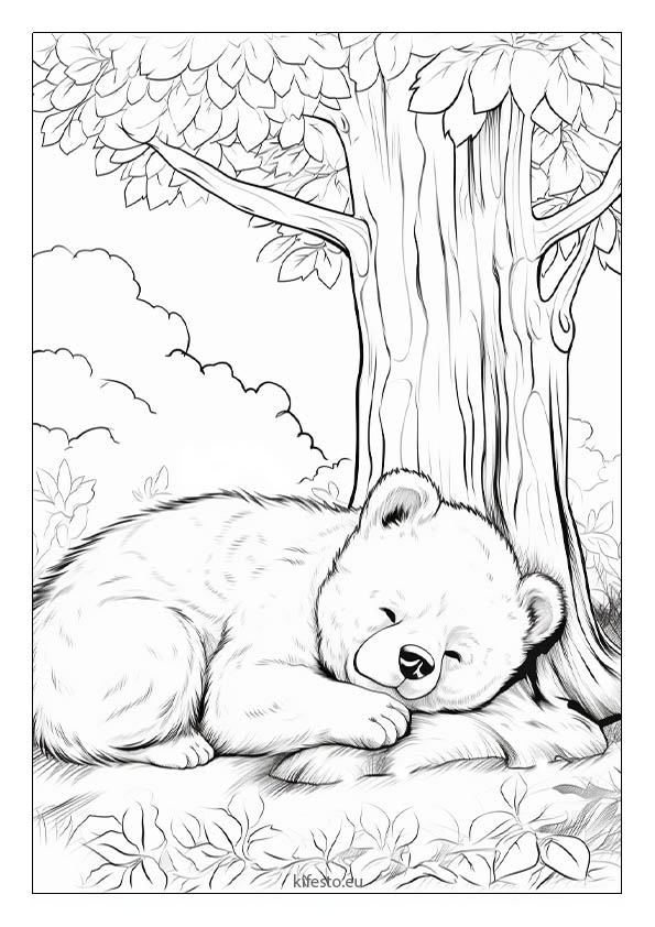 Bear coloring pages printable coloring sheets