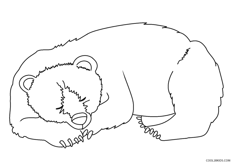 Free printable bear coloring pages for kids