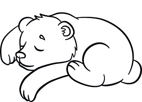 Coloring pages wild animals little cute baby bear sleeps stock illustration