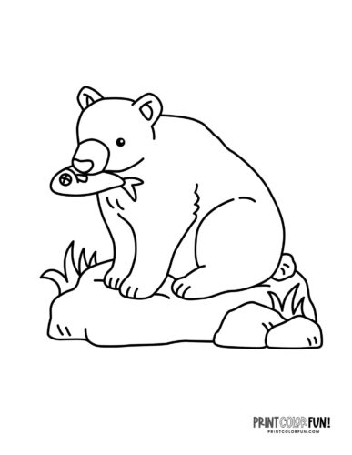 Explore the wild with bear clipart coloring plus engaging activities for kids at