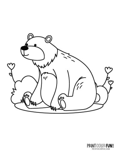 Explore the wild with bear clipart coloring plus engaging activities for kids at