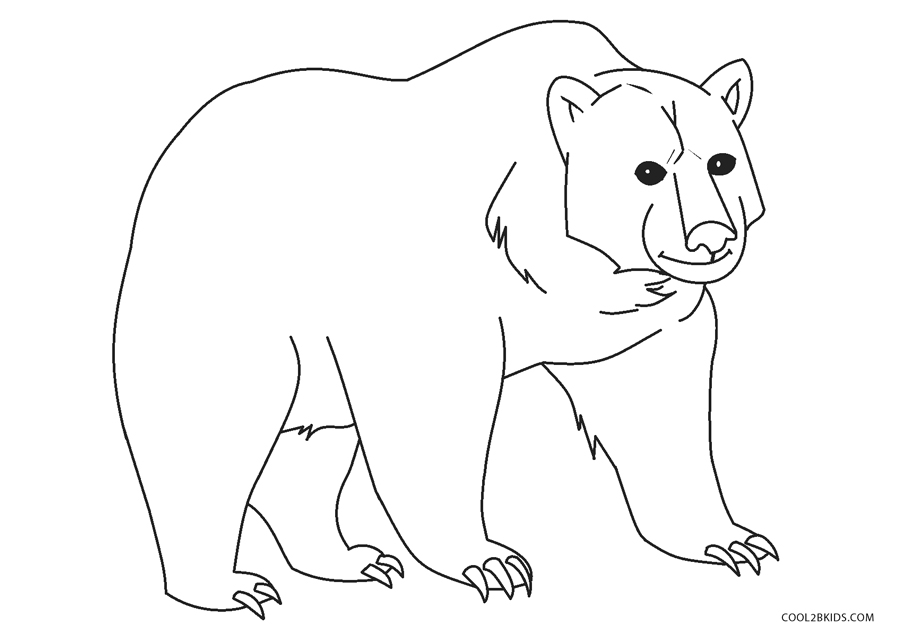 Free printable bear coloring pages for kids