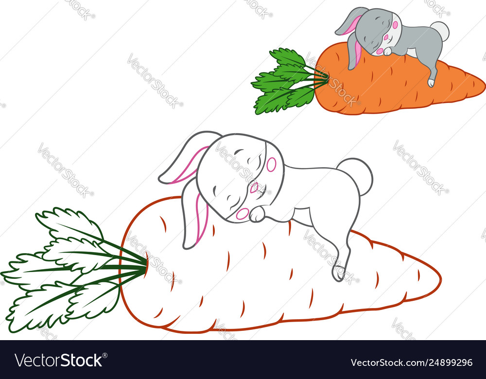 Sleeping rabbit coloring page royalty free vector image