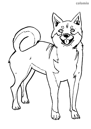 Dogs coloring pages free printable dog coloring sheets