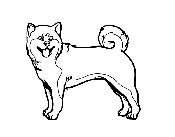 Akita dog coloring page