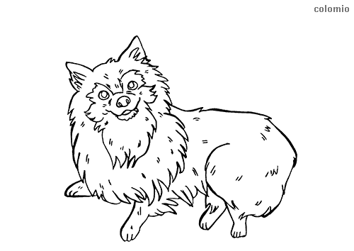 Dogs coloring pages free printable dog coloring sheets